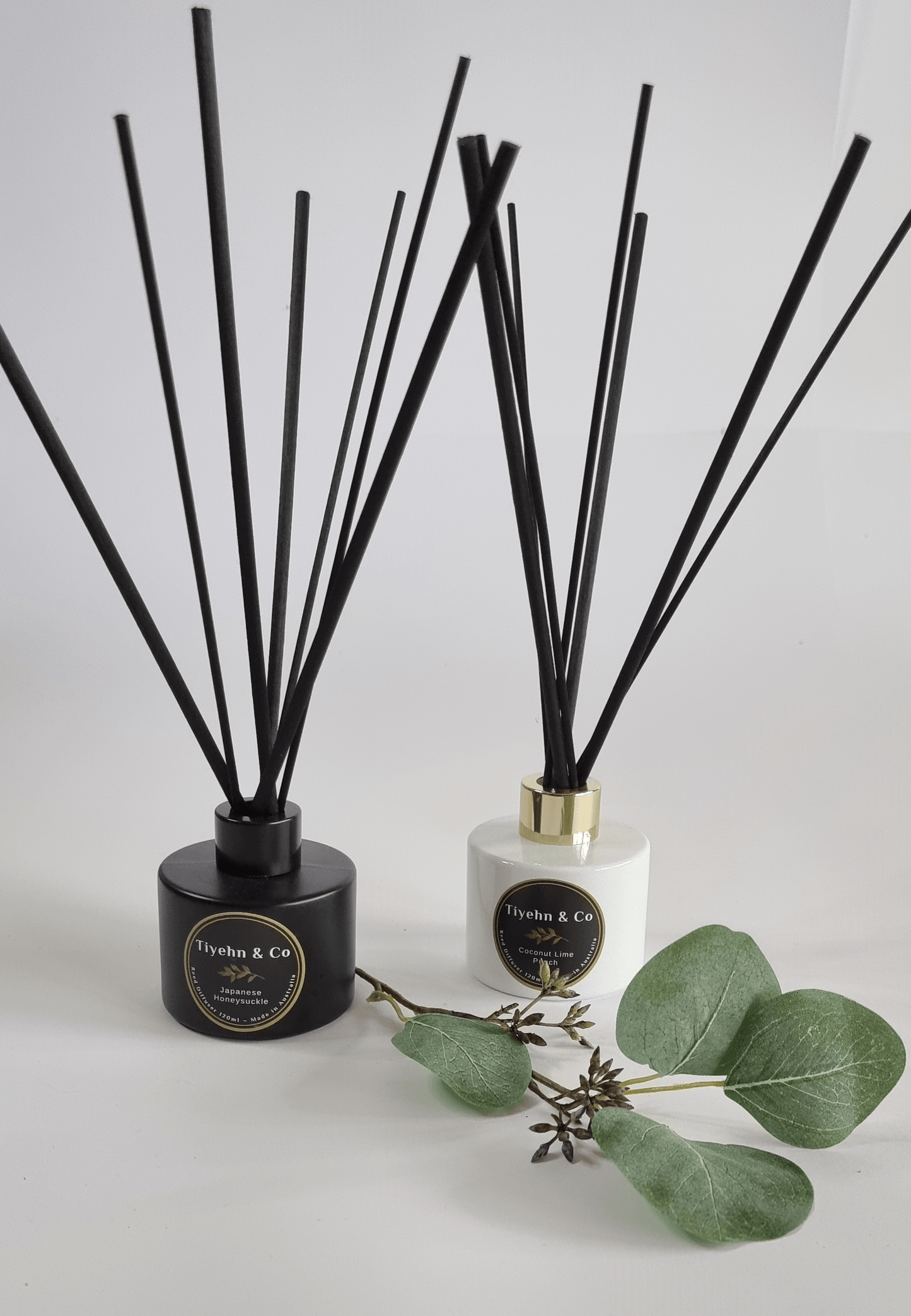 Republic Diffuser - Small