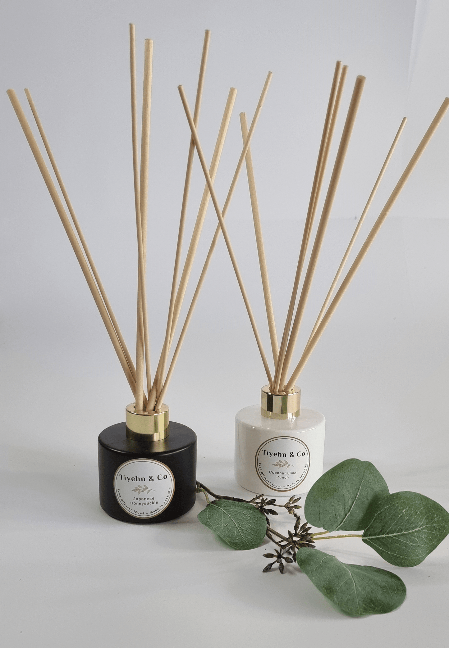 Republic Diffuser - Small
